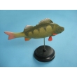 Fish Model