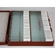 Microscope Slide Set for General Biology 3