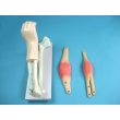 Human Elbow Joint Model