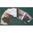 The Nature of Biological Communities, Magnetic Demonstration Cards