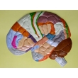 Human Brain Lobes, Bas Relief Model (E)