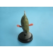 Fish Model