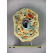Animal Cell Submicroscopic Structure Model
