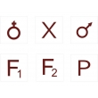 Genetic Blood Groups