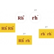 Rh Factor Heredity