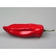 Red Pepper Model