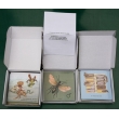 Biological and Insect Environments, Magnetic Demonstration Cards