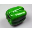 Green Bell Pepper Model