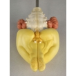 Rabbit Brain Model