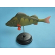 Fish Model