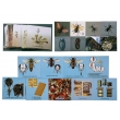 Biological and Insect Environments, Magnetic Demonstration Cards
