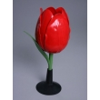 Tulip Flower Model