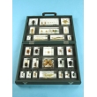 Resin Educational Specimen“Collection of Various Zoological Representations 3”>