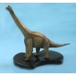 Brachiosaurus Model