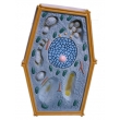 Plant Cell Structure