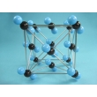 Carbon Dioxide Molecular Structure Model