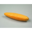 Corn Model