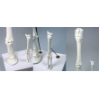 Horse and Sheep Leg Bone Models