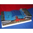 Ocean Floor Model