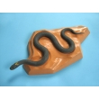 Poisonous Snake Model