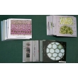 Animal & Plant Cells, Magnetic Demonstration Cards