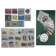 Animal & Plant Cells, Magnetic Demonstration Cards