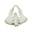 Animal Pelvic Bones Model