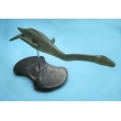 Plesiosaurus Model