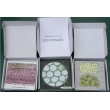 Animal & Plant Cells, Magnetic Demonstration Cards