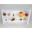 Imitation Fruit Specimen Collection