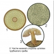 The Reproduction of Umbrella-like Mushrooms Magnetic Demonstration CardsThe Reproduction of Moss Mag