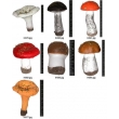 Mushroom Models Collection Set