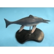 Ichthyosaurus Model