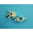 Vertebrae Bone Model Set