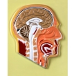 Human Head Bas Relief Model