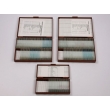 Microscope Slide Set