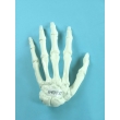 Hand Skeleton Model