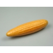 Corn Model