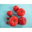 Tomato Model Set