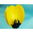 Tulip Flower Model