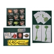 Zoological and Botanical Evolution Flash Cards