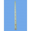 Ruler for Demonstration Purpose